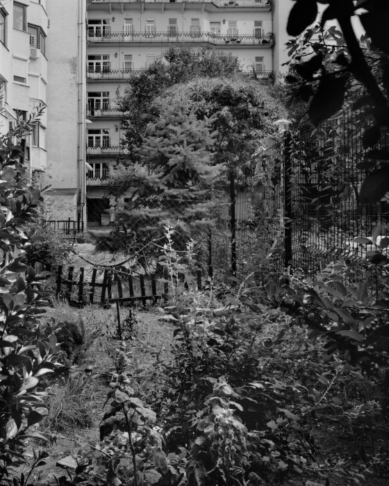 20230109_Lebensraum-20
