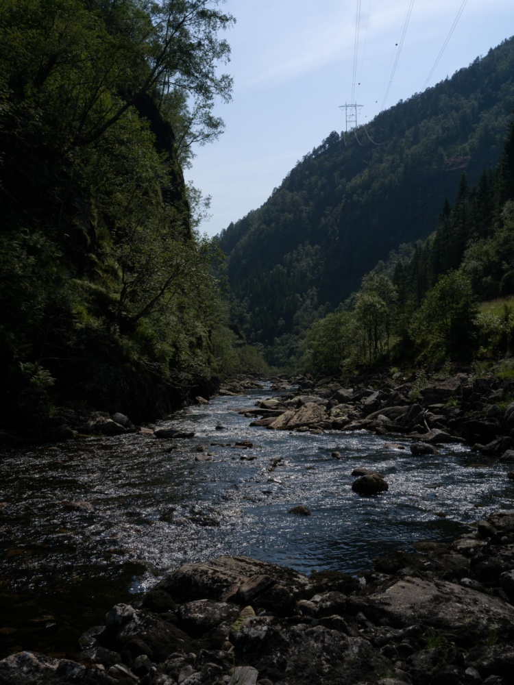 20260715-B0012319