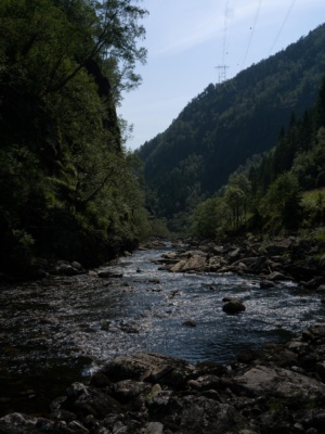 20260715-B0012319