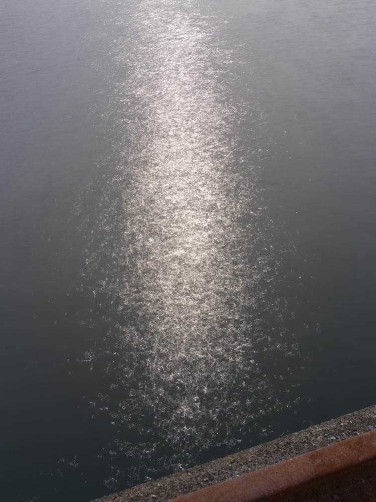 20260716-B0012388