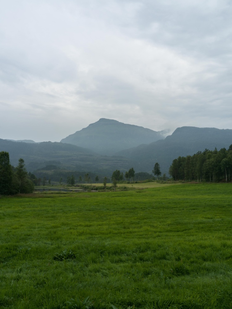 20260717-B0012417