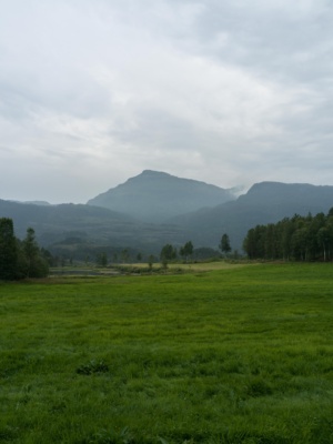 20260717-B0012417