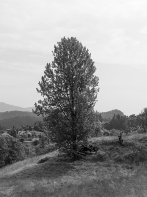 20260717-B0012441