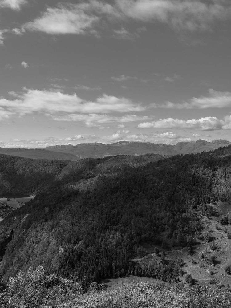 20260722-B0012729