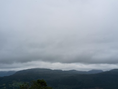 20260723-B0012784