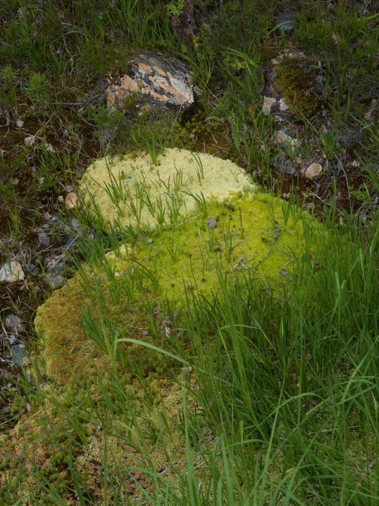 20260723-B0012794