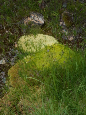 20260723-B0012794